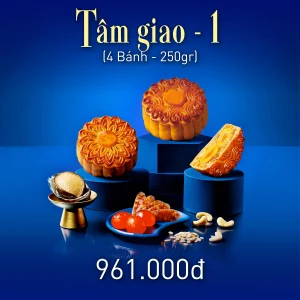 TÂM GIAO 1