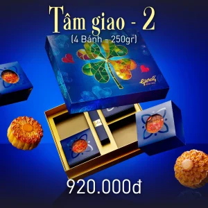 TÂM GIAO 2