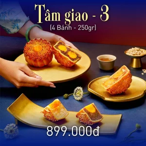 TÂM GIAO 3