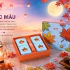 SẮC MÀU 12 sac mau 2026